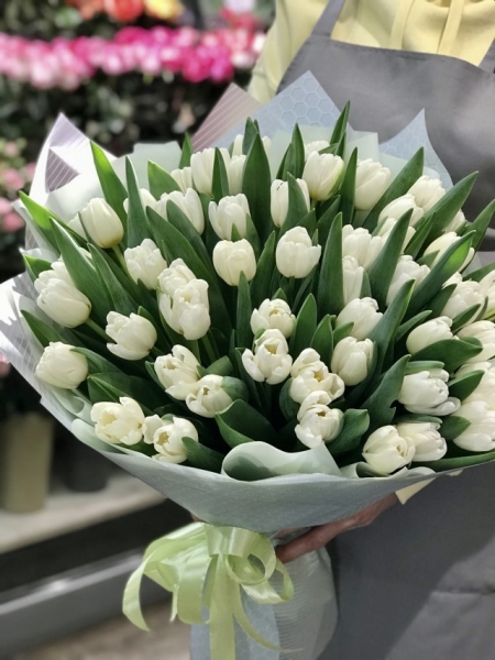 Белые тюльпаны 